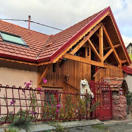 Gite Du Durrenbach Lautenbach Kültér fotó