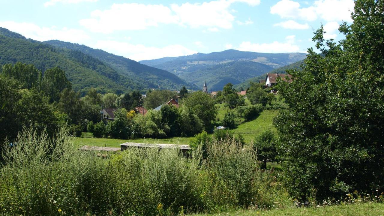 Gite Du Durrenbach Lautenbach Kültér fotó