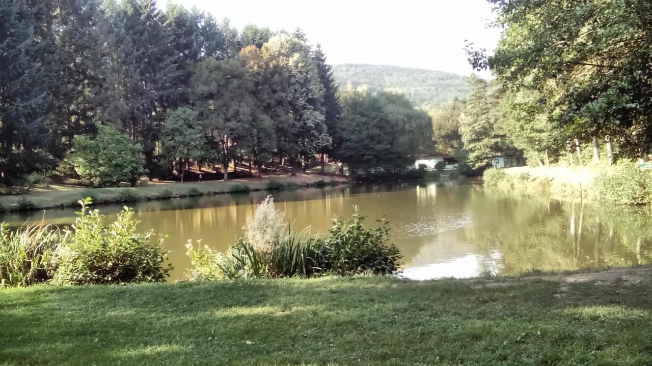 Gite Du Durrenbach Lautenbach Kültér fotó